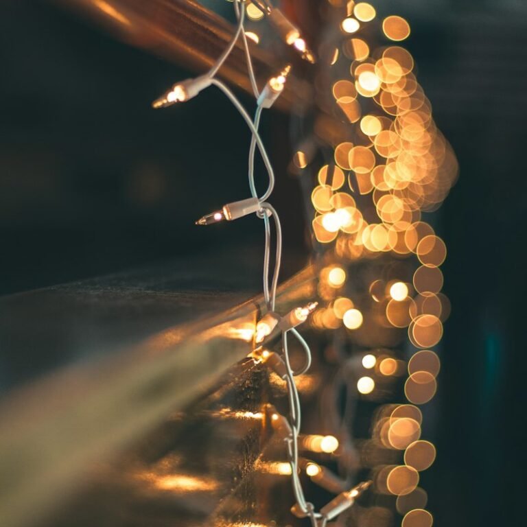 Diwali LED Fairy Lights 20m Copper – festival pick in the Play Projekt India Store